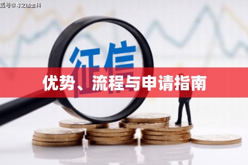 乐都优势、流程与申请指南
