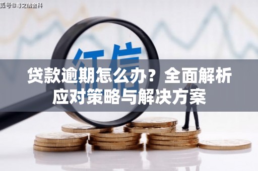 乐都贷款逾期怎么办？全面解析应对策略与解决方案