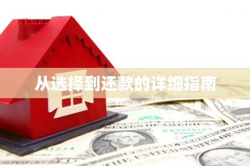 乐都从选择到还款的详细指南