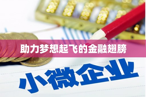 乐都助力梦想起飞的金融翅膀