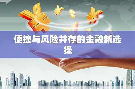 乐都便捷与风险并存的金融新选择