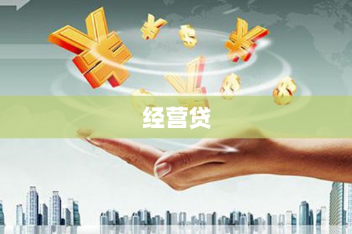 乐都经营贷