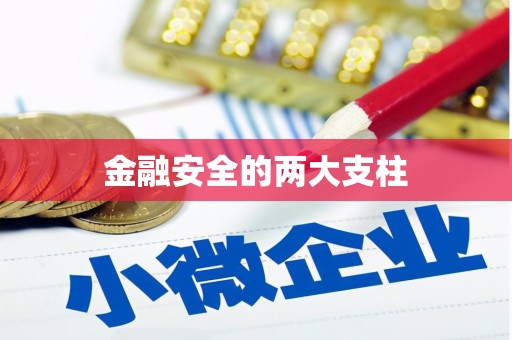 乐都金融安全的两大支柱