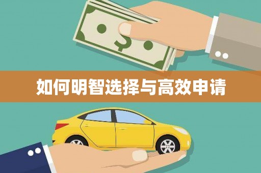 乐都如何明智选择与高效申请
