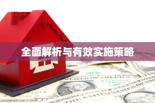 乐都全面解析与有效实施策略