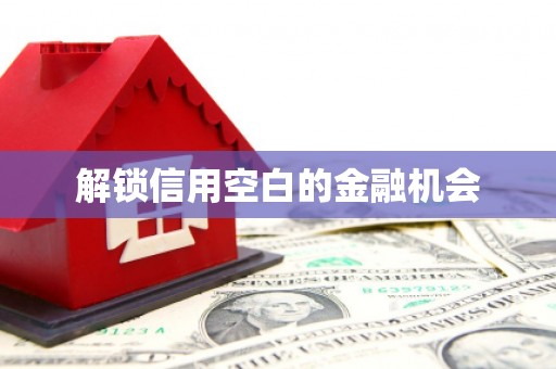 乐都解锁信用空白的金融机会