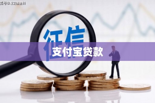 乐都支付宝贷款