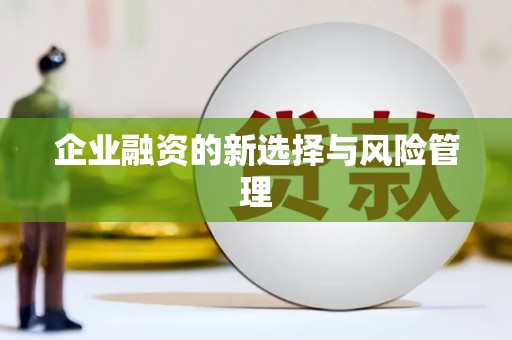 乐都企业融资的新选择与风险管理