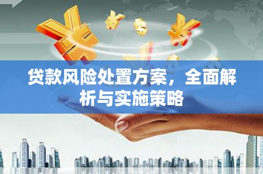 乐都贷款风险处置方案，全面解析与实施策略