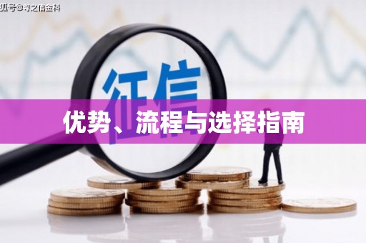乐都优势、流程与选择指南