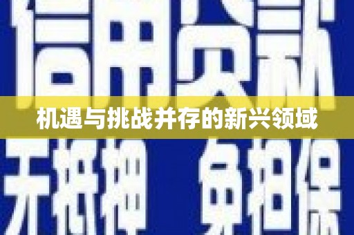 乐都机遇与挑战并存的新兴领域