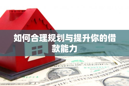 乐都如何合理规划与提升你的借款能力