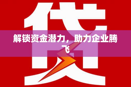 乐都解锁资金潜力，助力企业腾飞