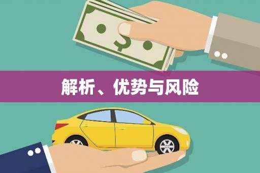乐都解析、优势与风险