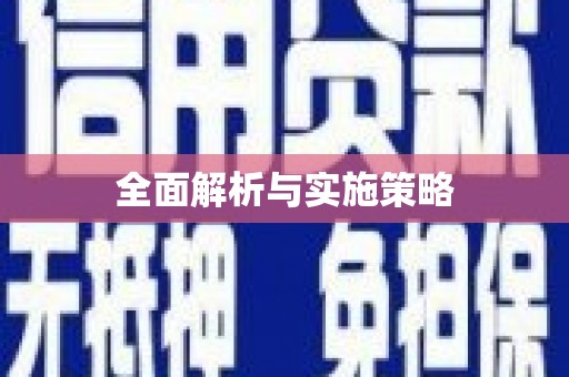 乐都全面解析与实施策略