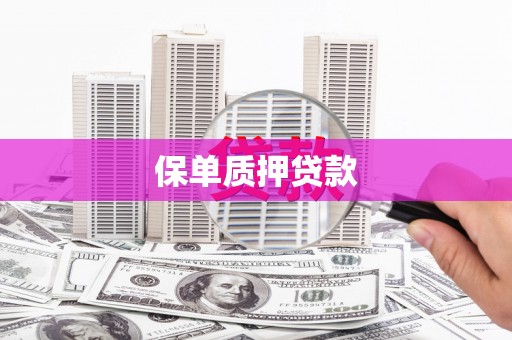 乐都保单质押贷款
