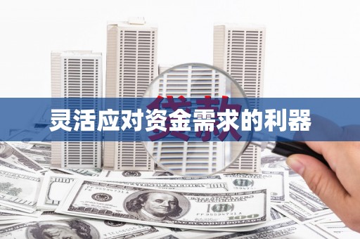 乐都灵活应对资金需求的利器