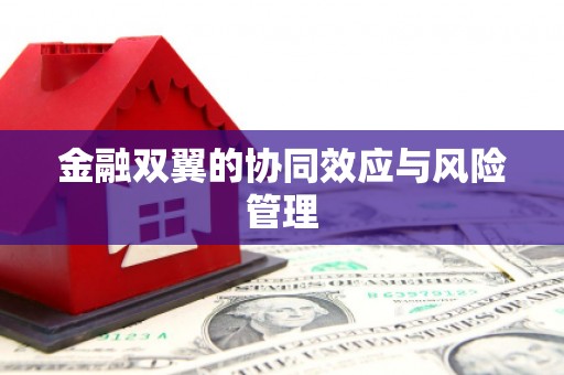 乐都金融双翼的协同效应与风险管理