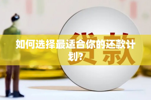 乐都如何选择最适合你的还款计划？