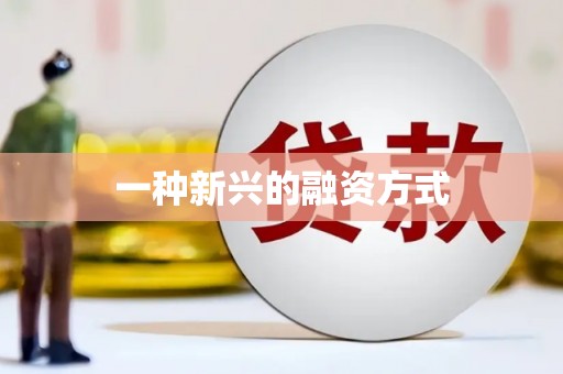 乐都一种新兴的融资方式