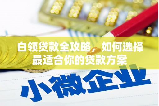 乐都白领贷款全攻略，如何选择最适合你的贷款方案