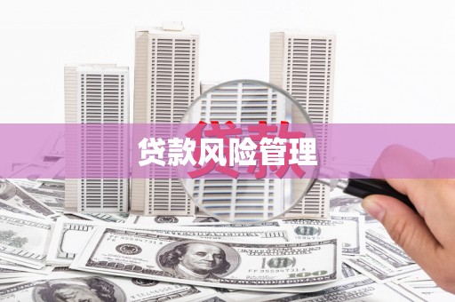 乐都贷款风险管理