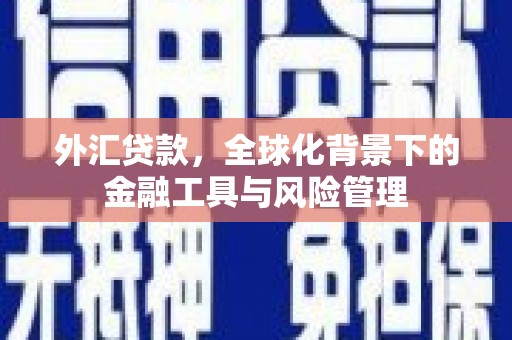 乐都外汇贷款，全球化背景下的金融工具与风险管理