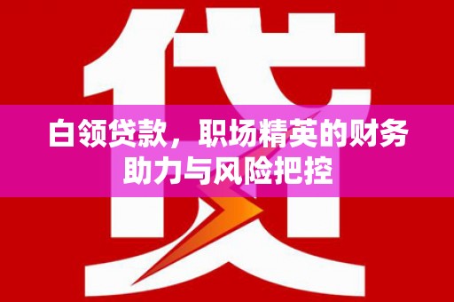乐都白领贷款，职场精英的财务助力与风险把控