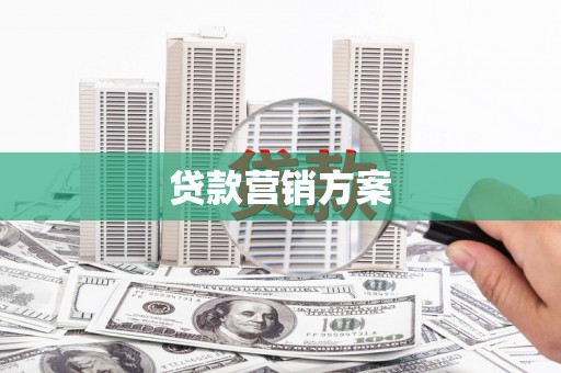 乐都贷款营销方案
